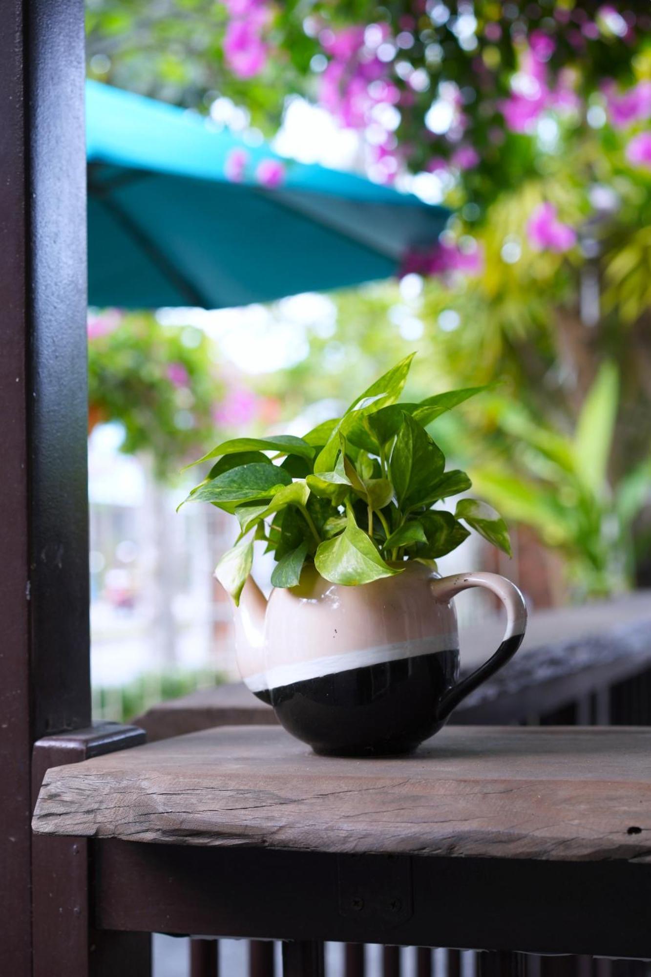 Blooms Boutique Village Hoi An Eksteriør billede